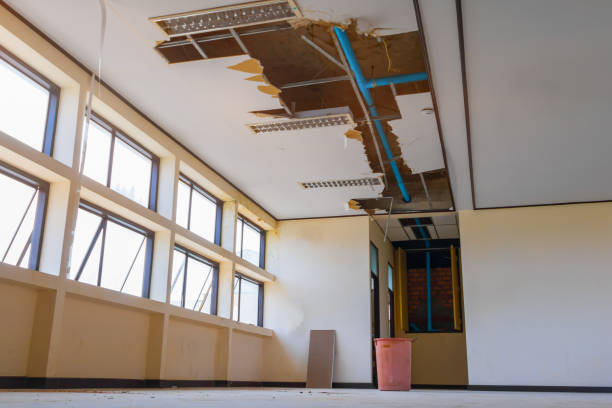Best Flooded house restoration  in Goose Creek, SC