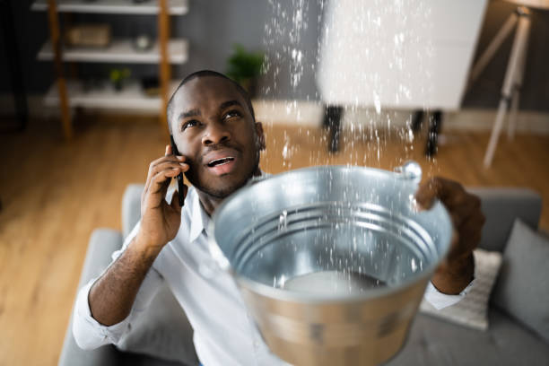 Best Mold removal after water damage  in Goose Creek, SC