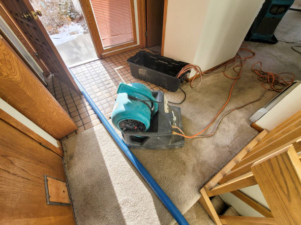 Best Residential water damage restoration  in Goose Creek, SC