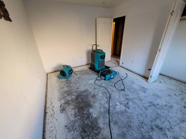 Best Local water damage restoration  in Goose Creek, SC