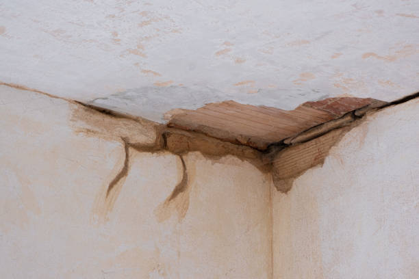 Best Ceiling water damage repair  in Goose Creek, SC