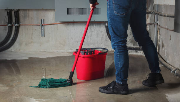 Best Water damage restoration specialists  in Goose Creek, SC