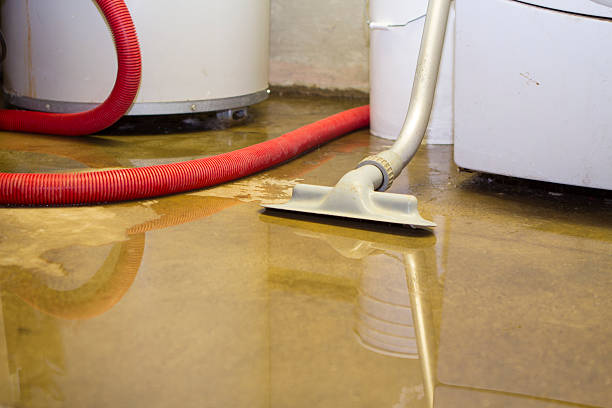 Best Flood damage cleanup  in Goose Creek, SC