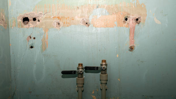 Best Local water damage restoration  in Goose Creek, SC