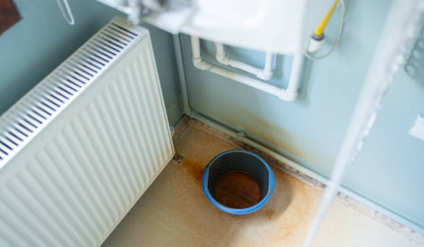 Best Water damage restoration near me  in Goose Creek, SC