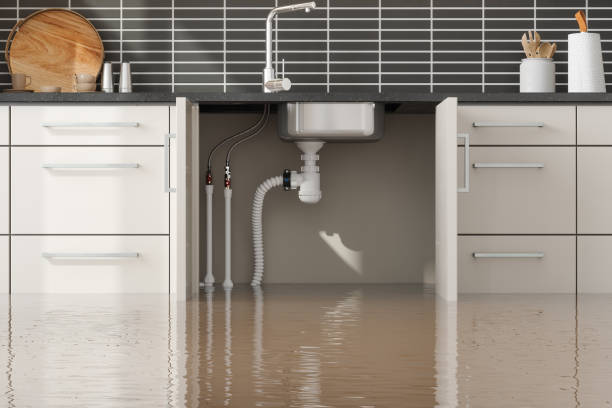 Best Basement water damage restoration  in Goose Creek, SC