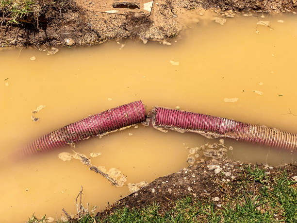 Best 24-hour water damage restoration  in Goose Creek, SC