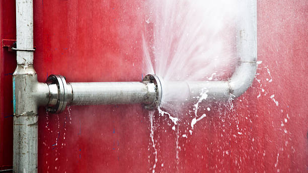 Best Sewage cleanup and water damage restoration  in Goose Creek, SC