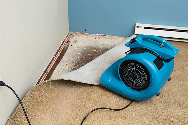 , SC Water damage restoration Company